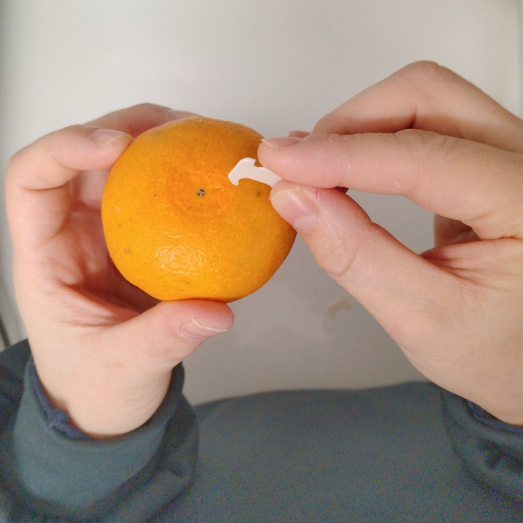 バッグクロージャーとみかん