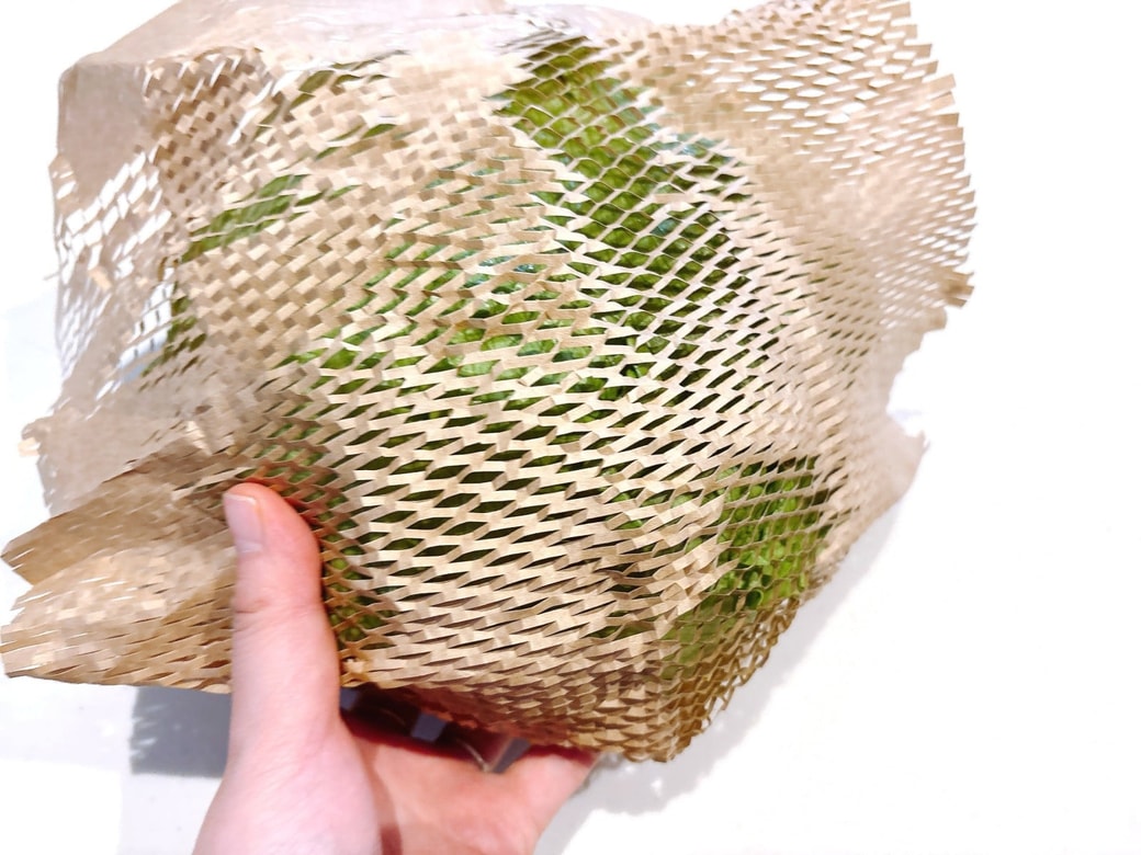 緩衝材で包んだレタス