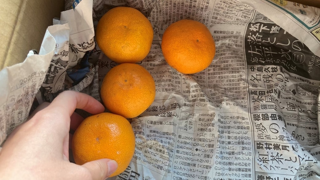 ヘタを下向きにして並べるみかん