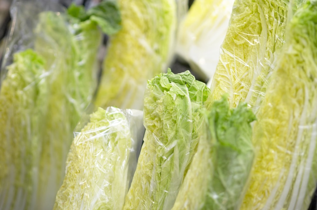 NG②中の葉が緑