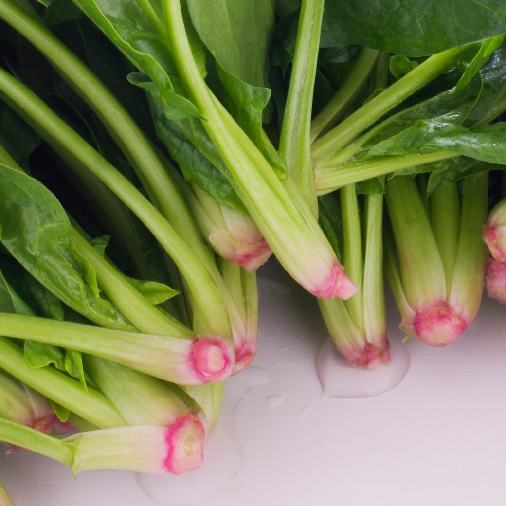 根っこは赤みが強いものが◎