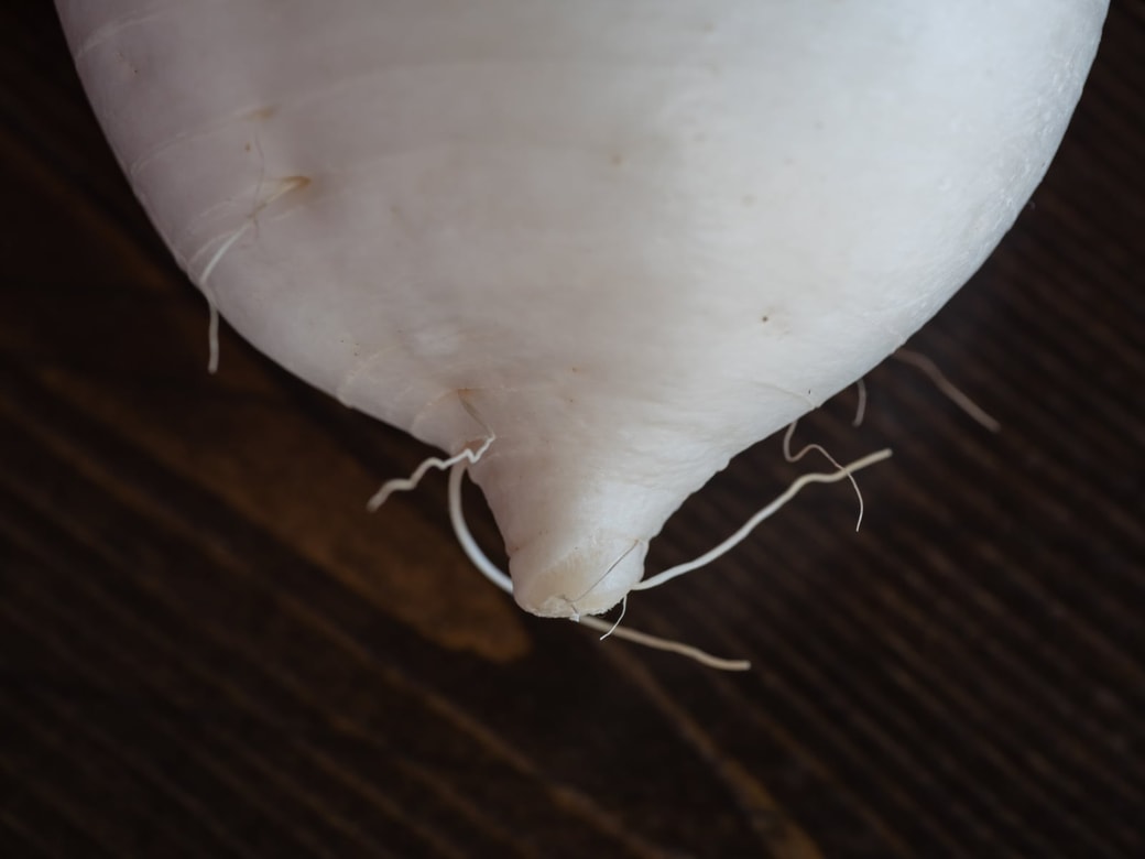 NG①ひげ根が多い