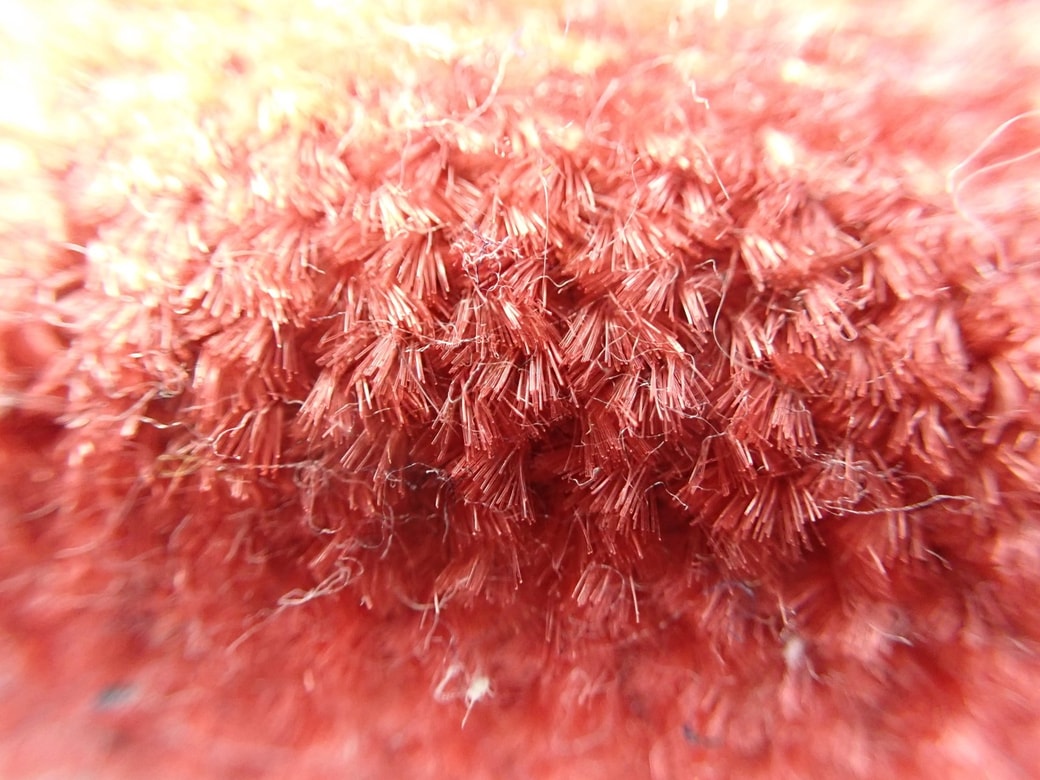 ぱくぱくローラー拡大