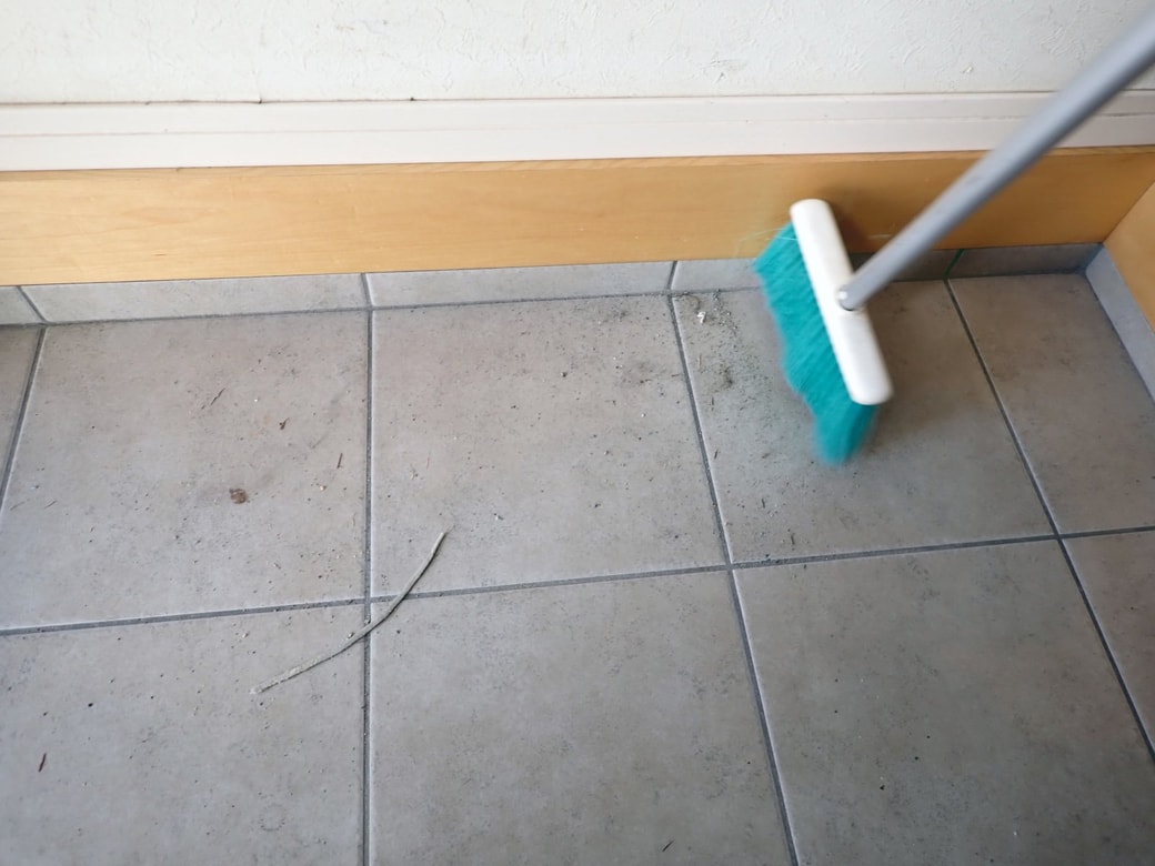 玄関の掃き掃除