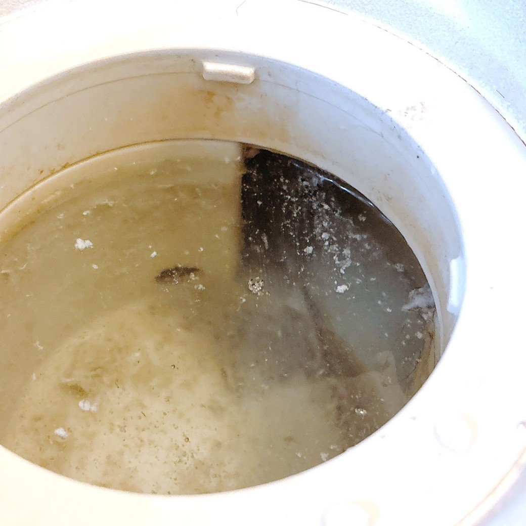 排水口も汚れている