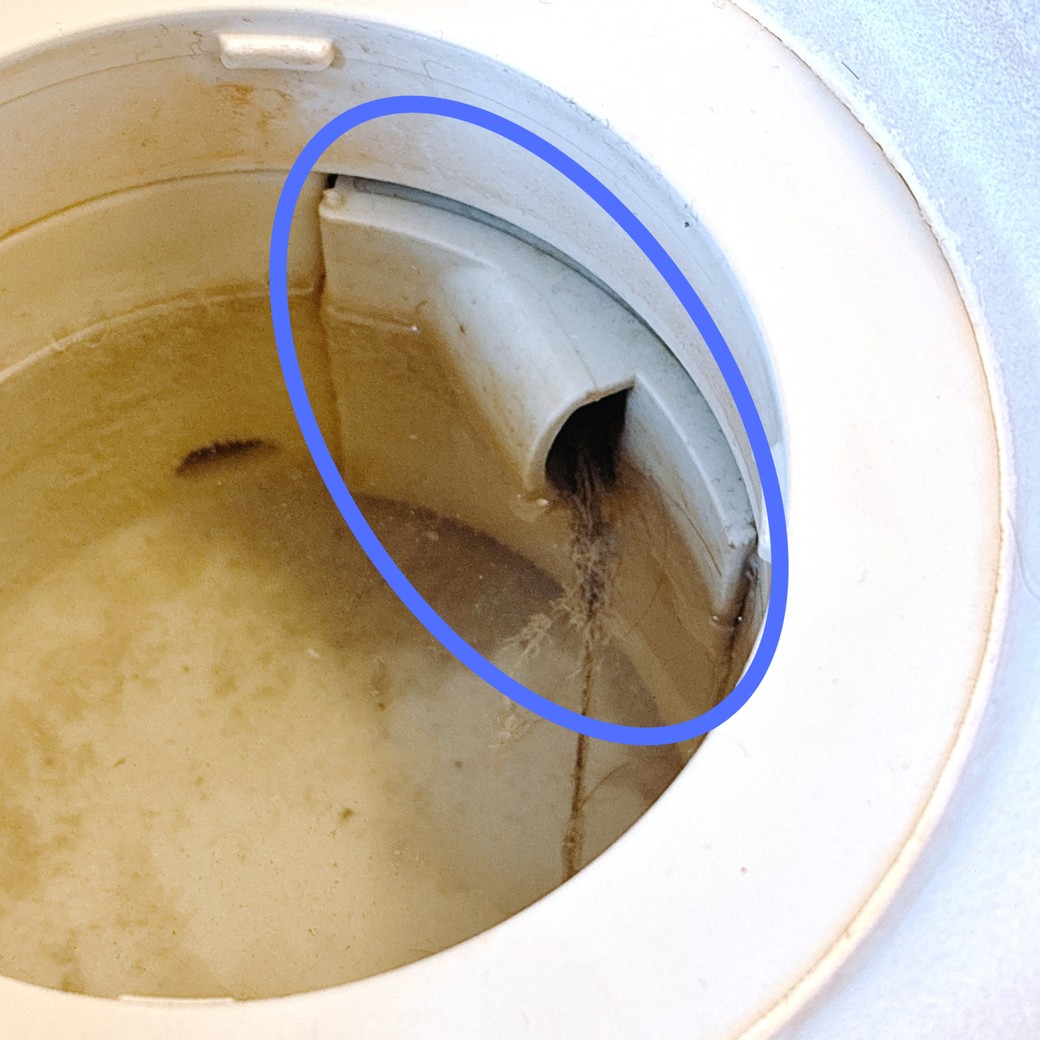 お風呂場床側の排水口にある「整流ブロック」