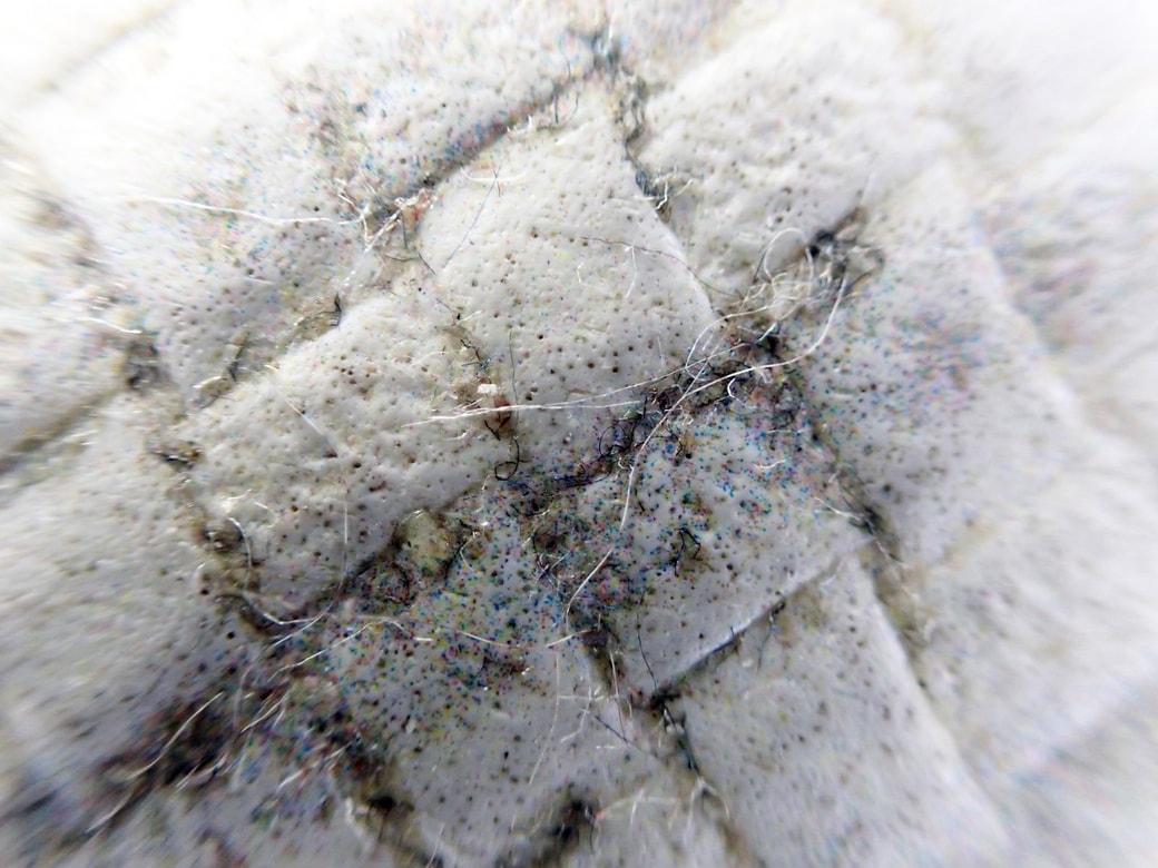 奥まで入り込んだ