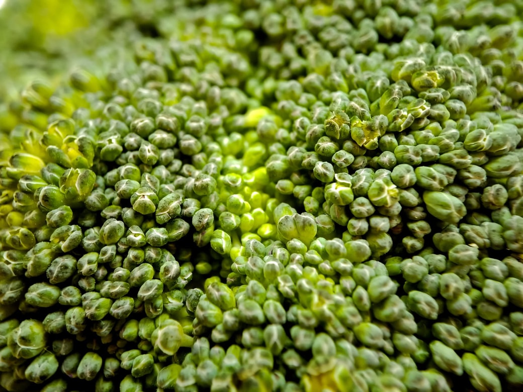 NG①つぼみが開きかけている