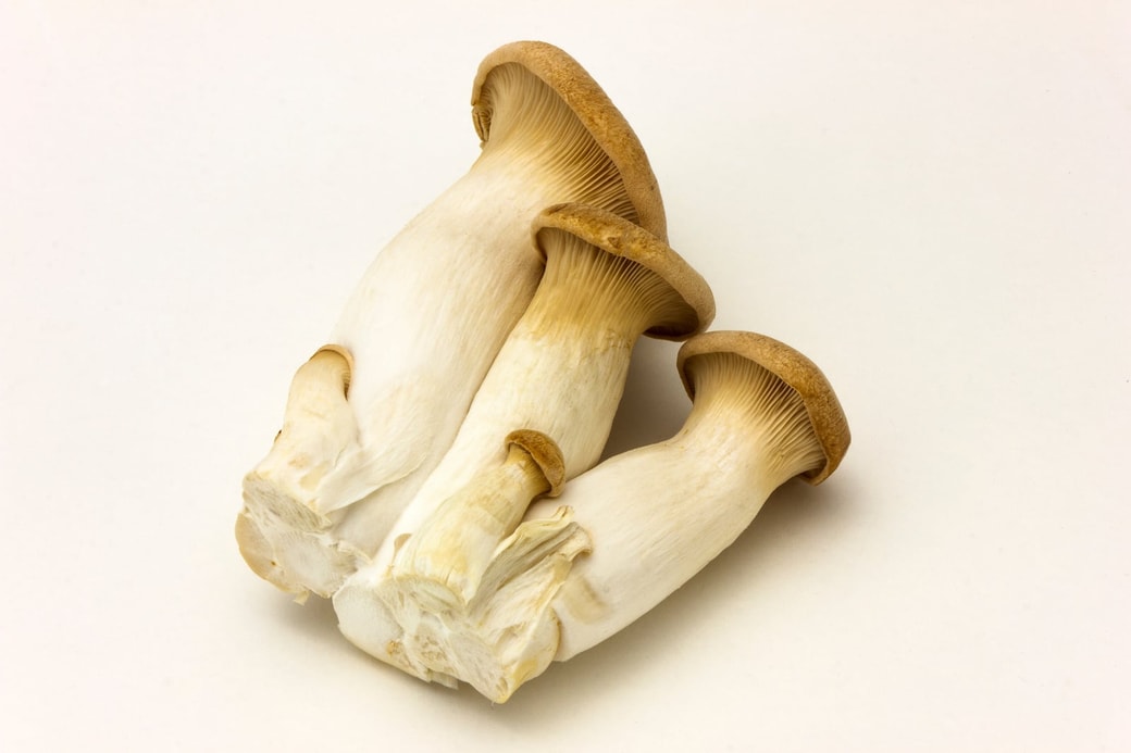 NG③全体的に黄ばんでいる