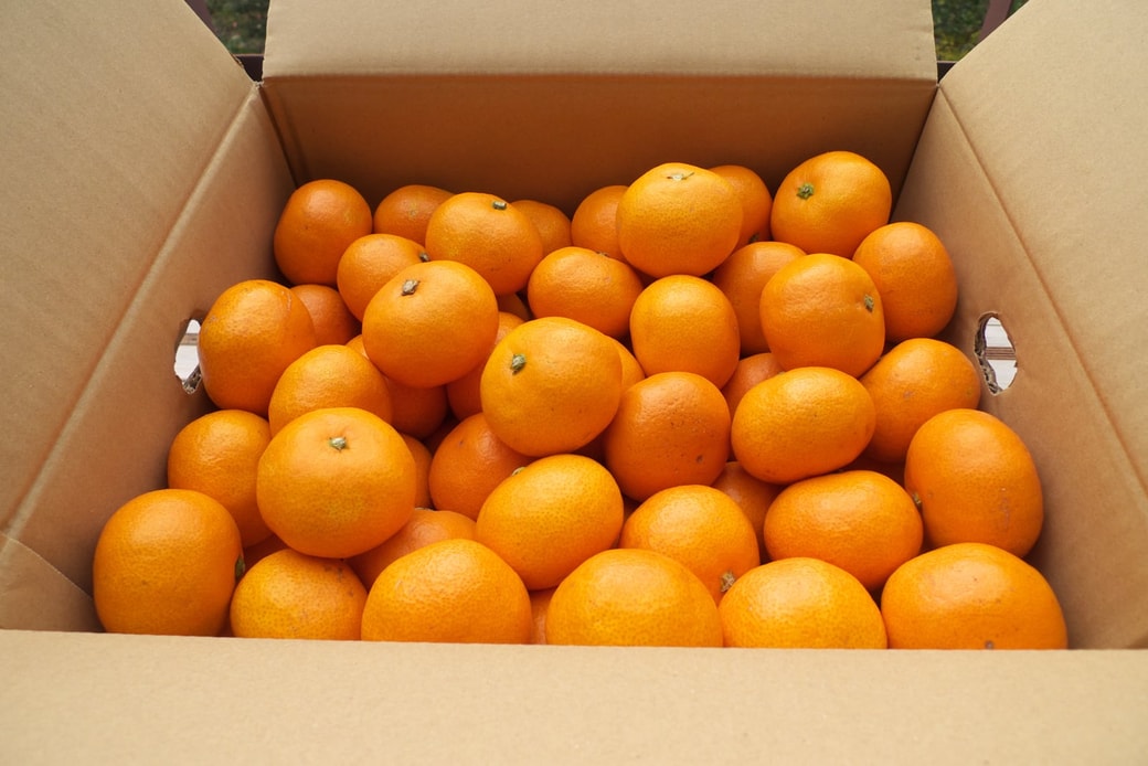 NG袋や段ボールに入れっぱなしにする