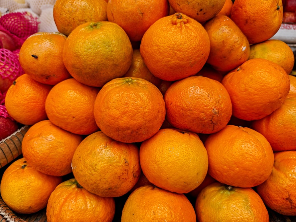 NGみかんを山積みにする