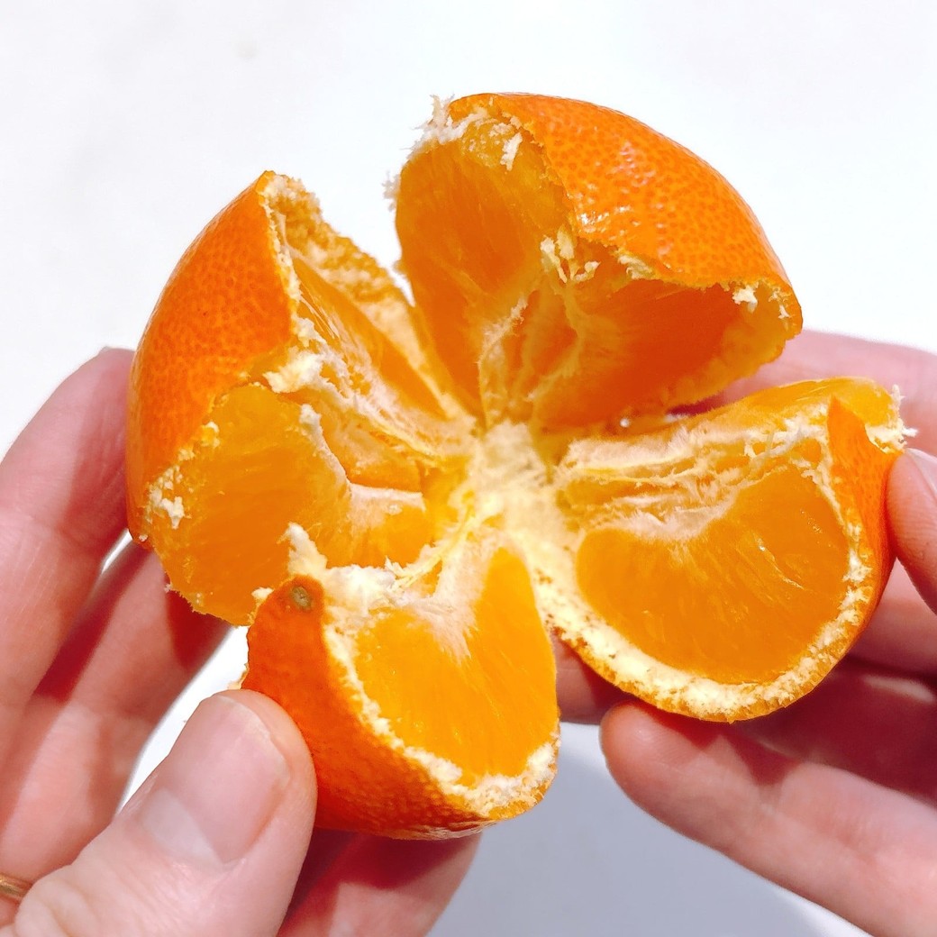 みかんを4等分にする