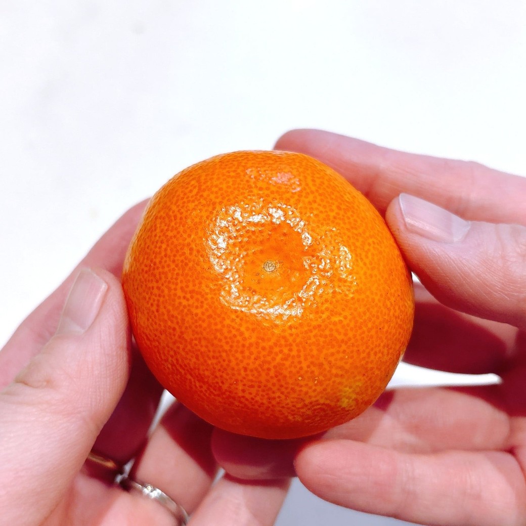 ヘタを下にしてみかんを持つ