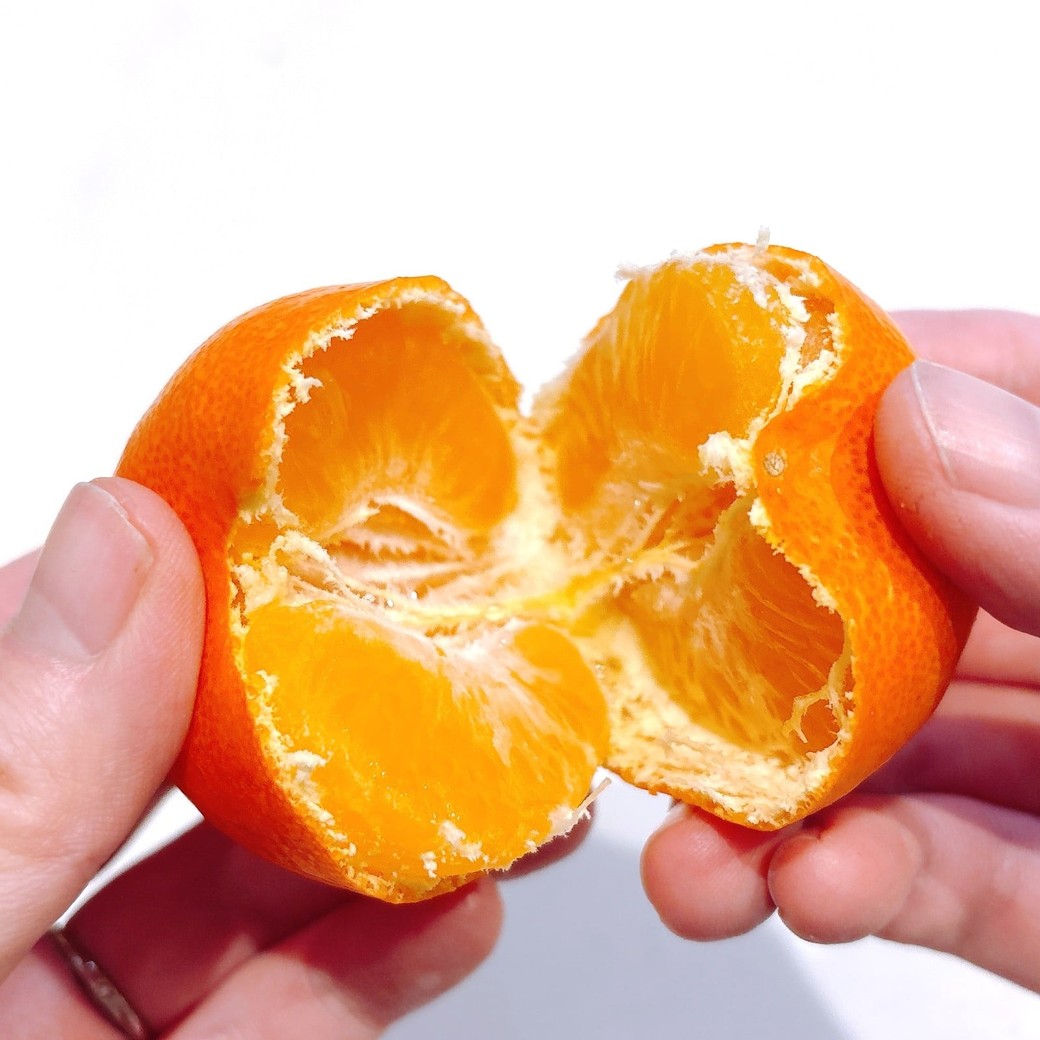 みかんを半分に割る