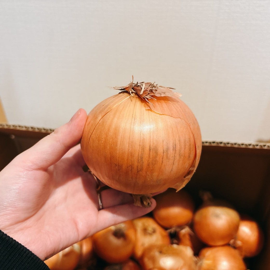 NG　平たい玉ねぎを選ぶ