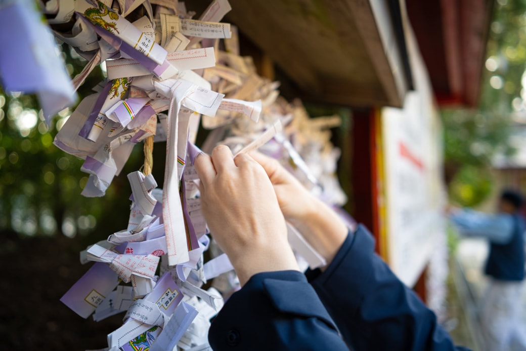 おみくじを結ぶ