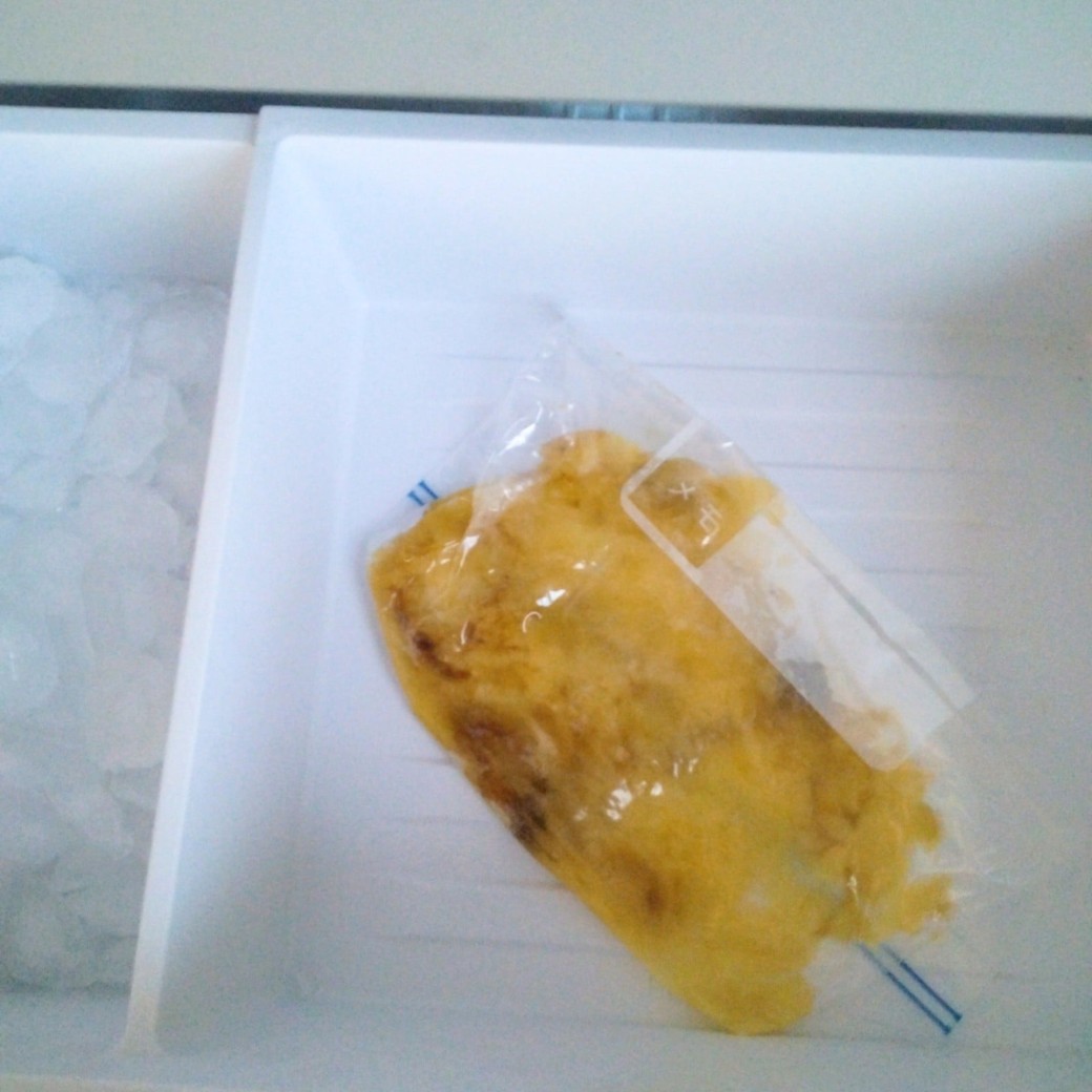 サンプルイメージ