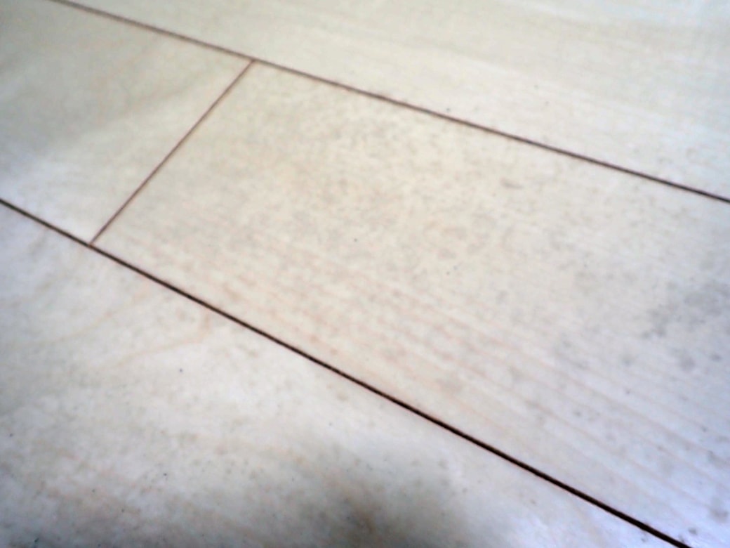 初期カビを除去