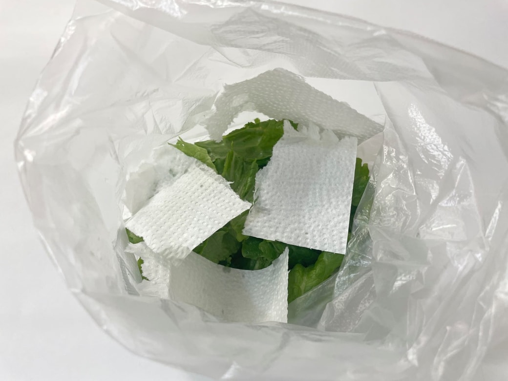 キッチンペーパーをちぎって入れる