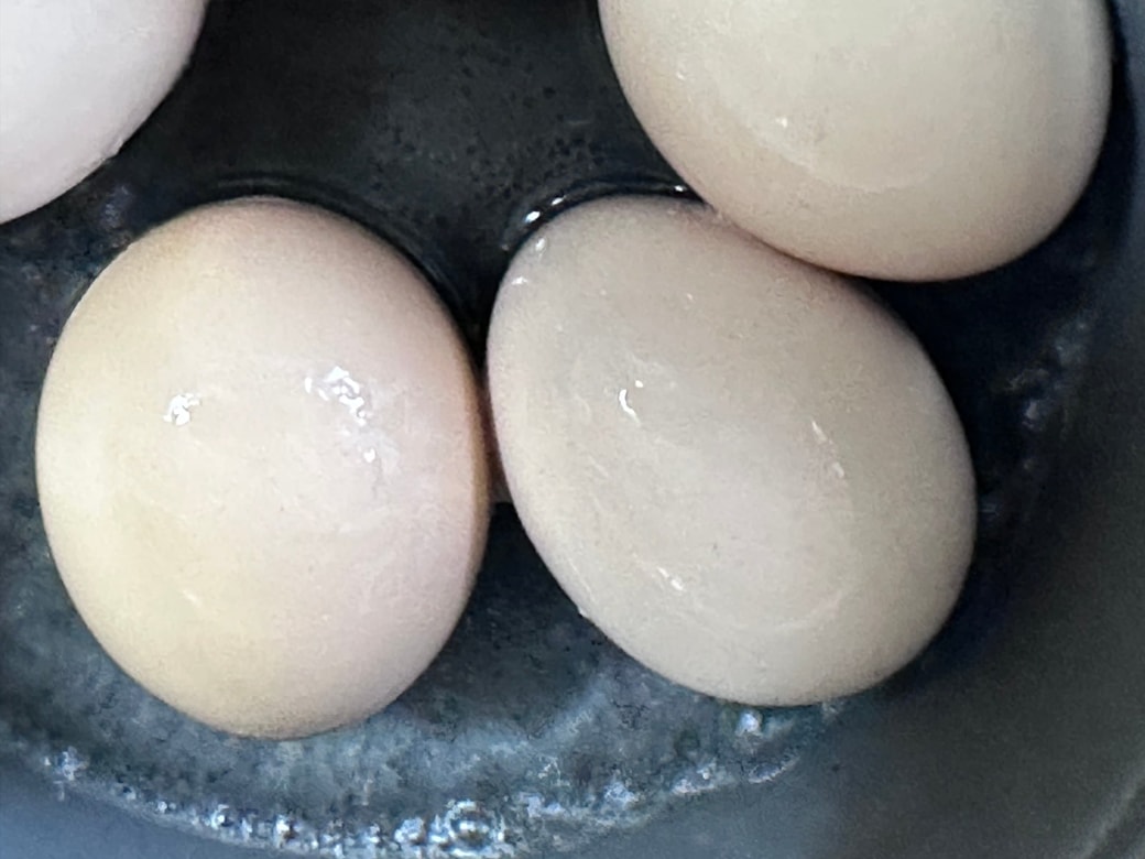 ふつふつとお湯が沸く程度に火を弱めます。