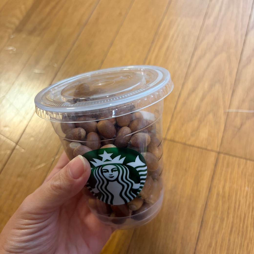 空きカップにたくさんどんぐりを入れたところ