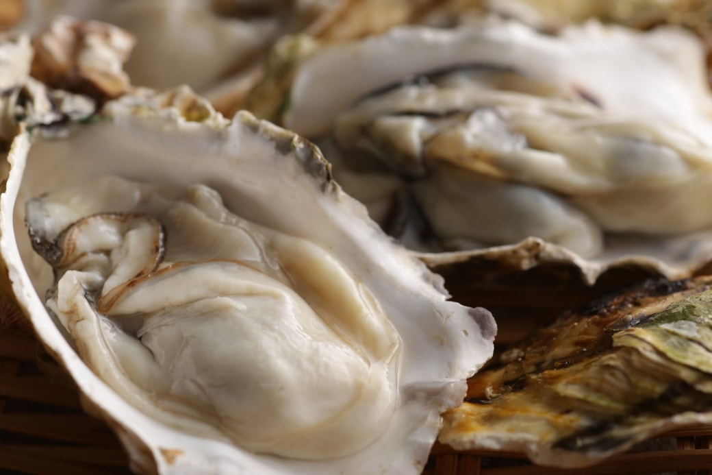 牡蠣
