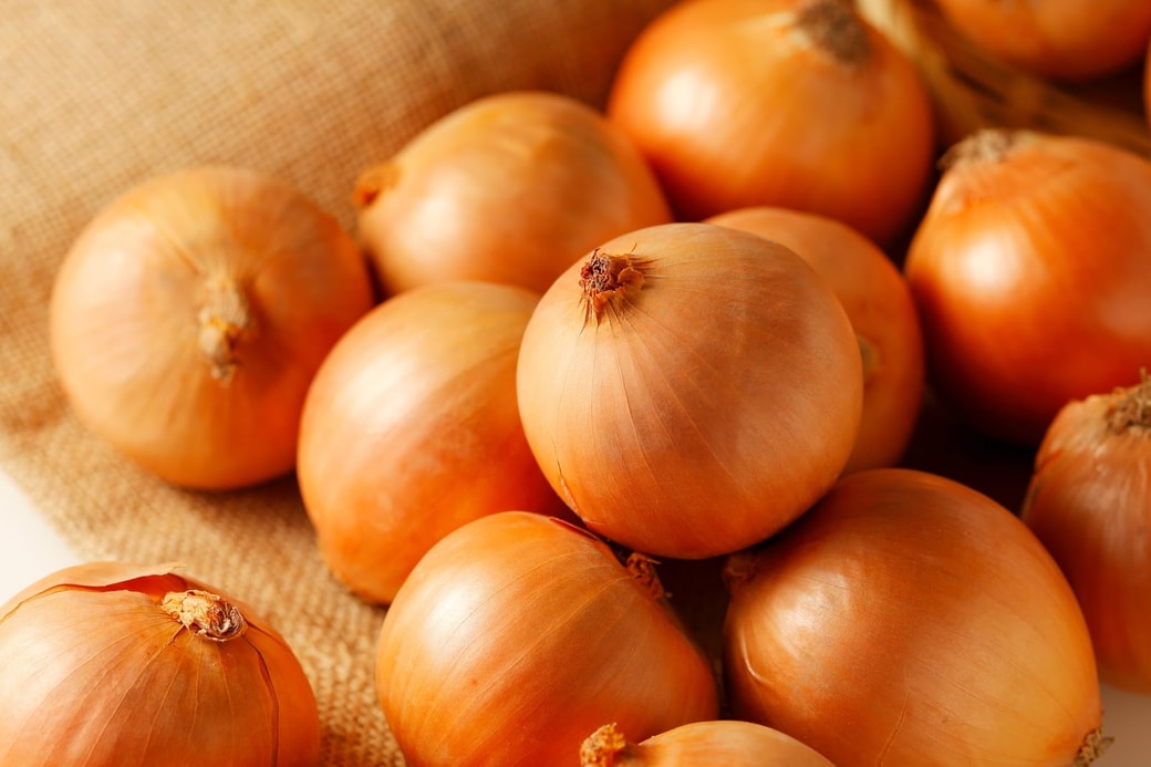 玉ねぎ