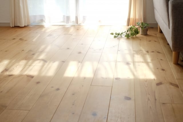 日差しが入る部屋