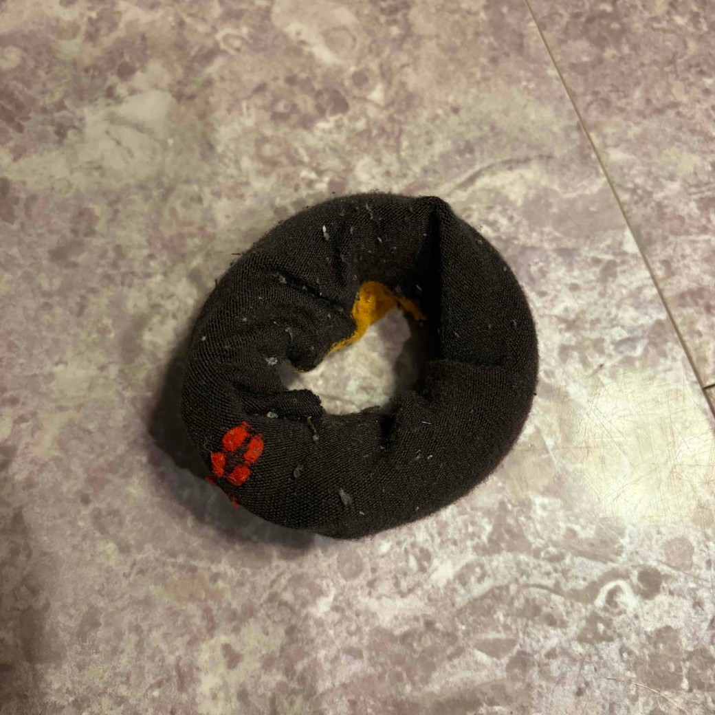 巻き終わってドーナツの形ができたところ