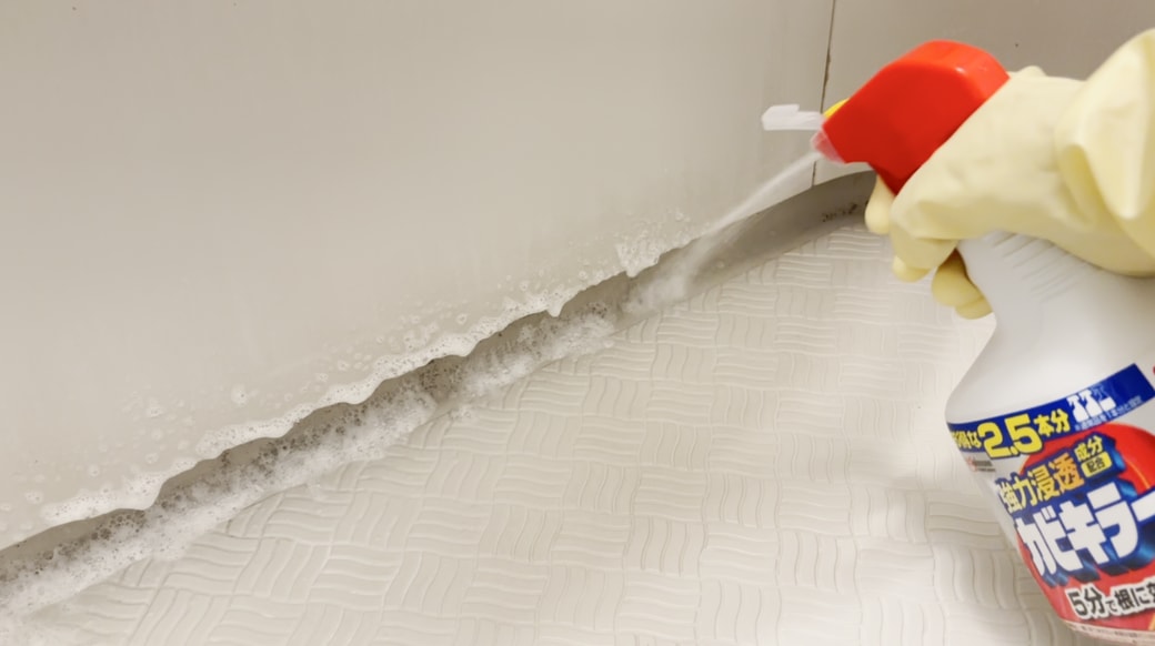 カビキラーを吹きかける