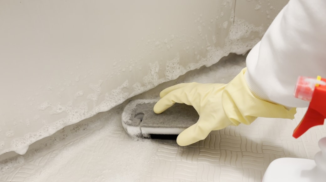 スポンジで塗り広げる