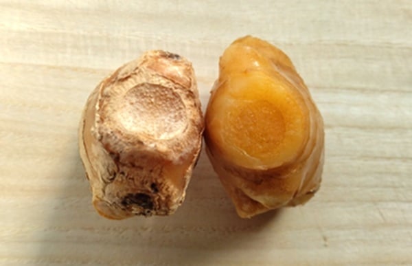 ショウガの比較