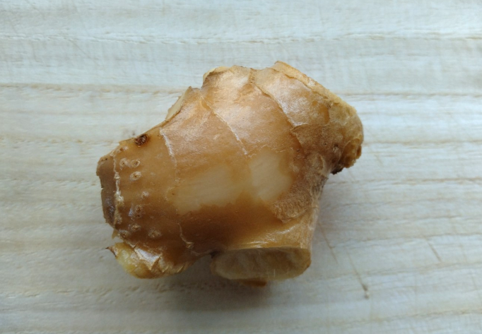 ショウガを洗う