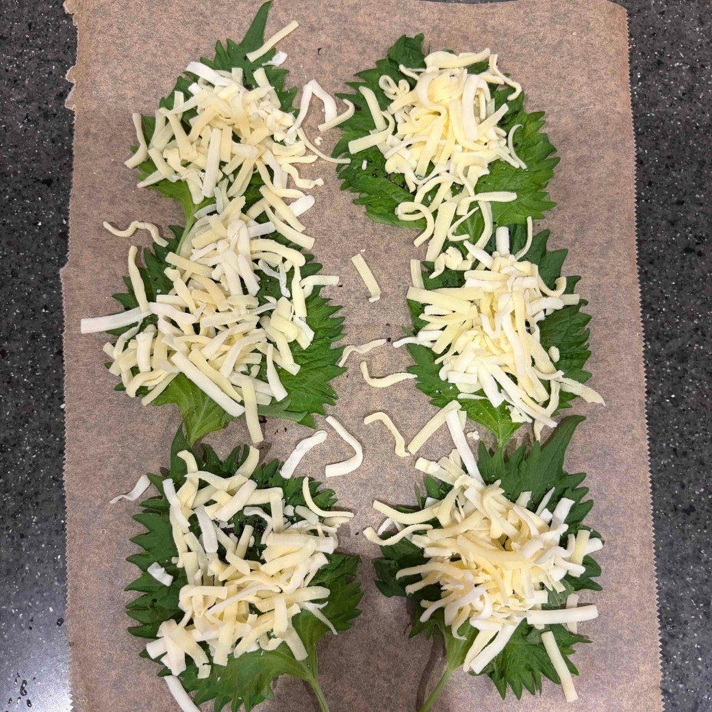 チーズをかけたところ