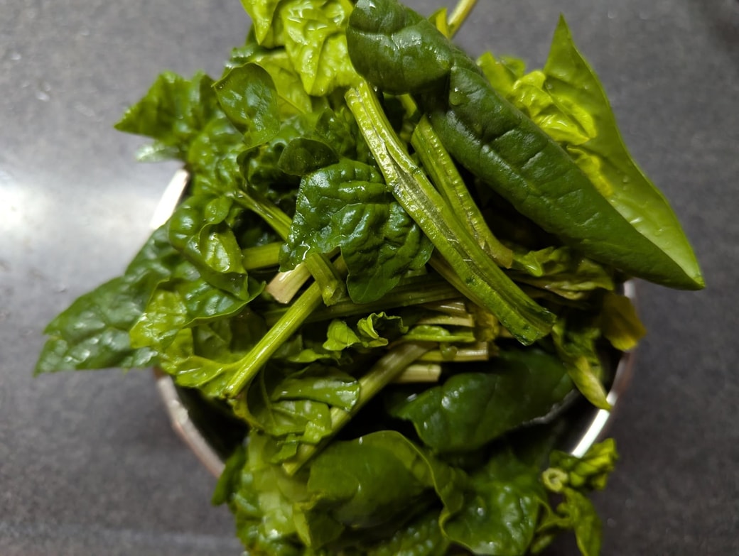 ちぢみほうれん草