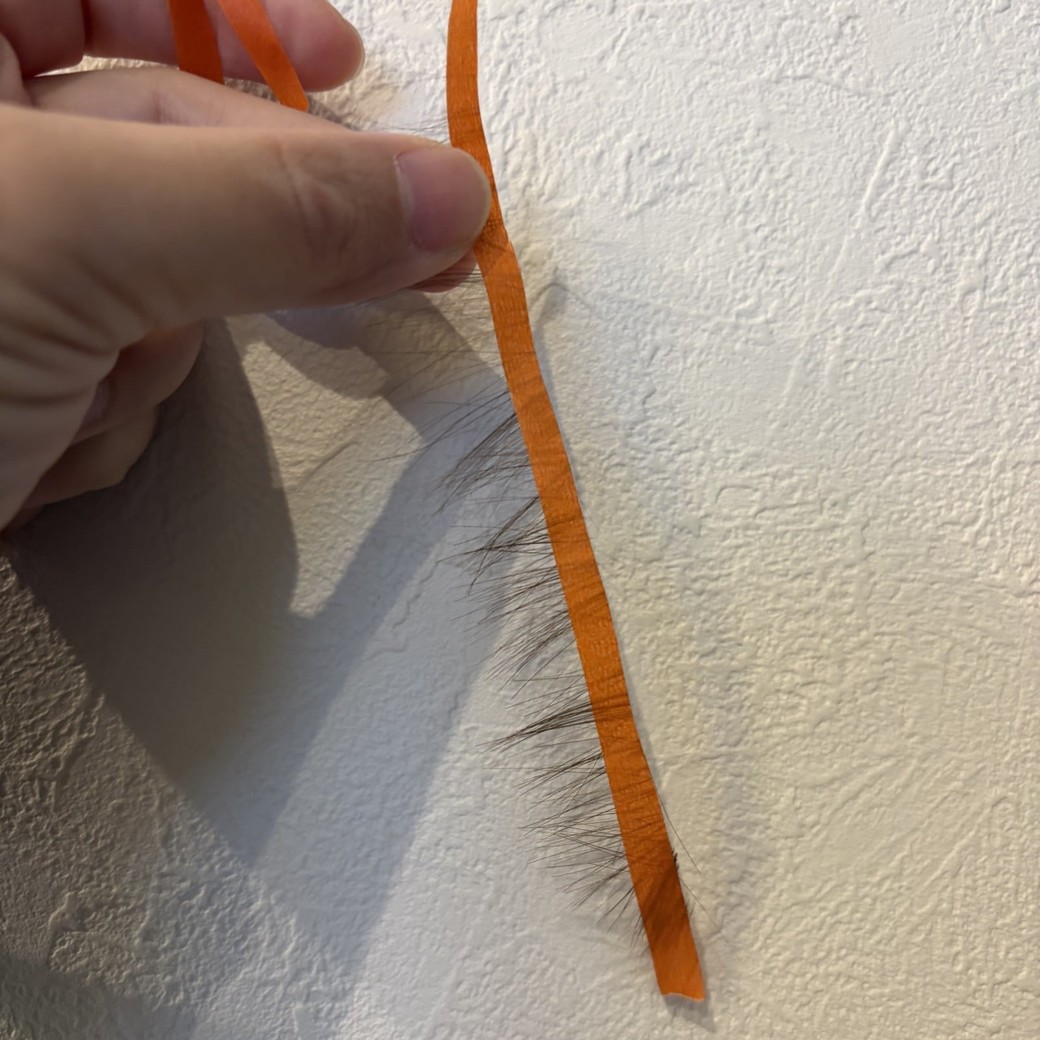 マスキングテープに髪の毛がついているところ