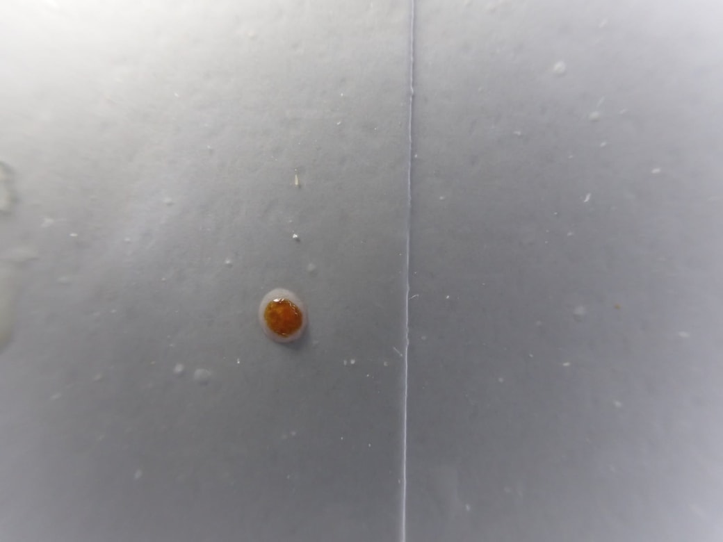 カメラを超接近