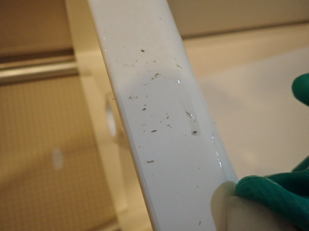 石鹸カスがポロポロ