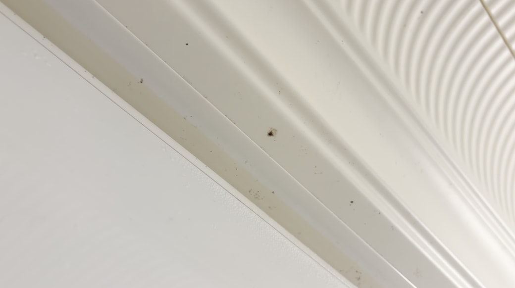 お風呂天井の気になるカビ