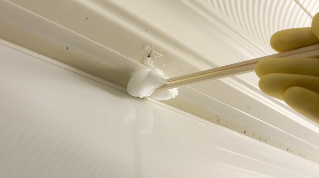 カビに洗剤を塗布する