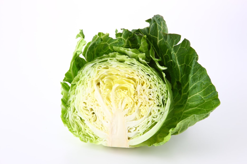 春キャベツ