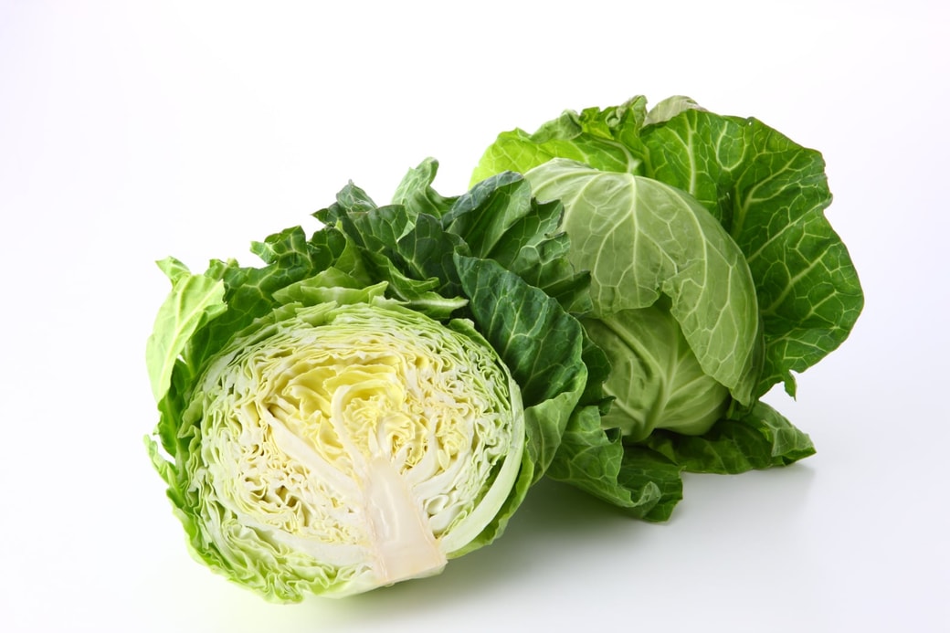春キャベツ
