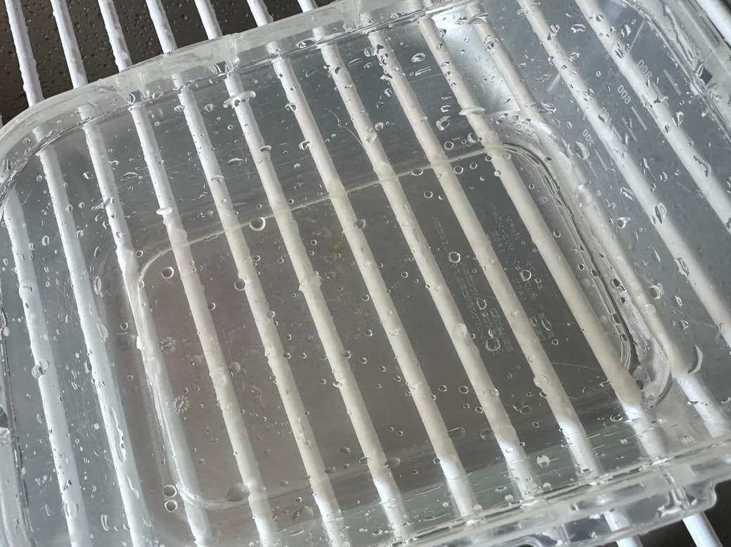 洗ったタッパー