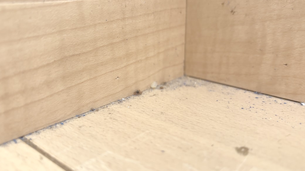 隅にたまるホコリやゴミ