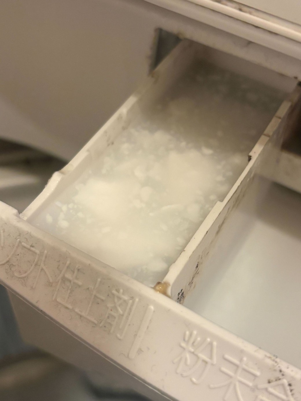 実際のスタッフの洗濯機