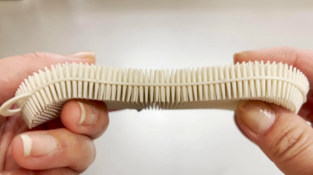 突起があるのが特徴