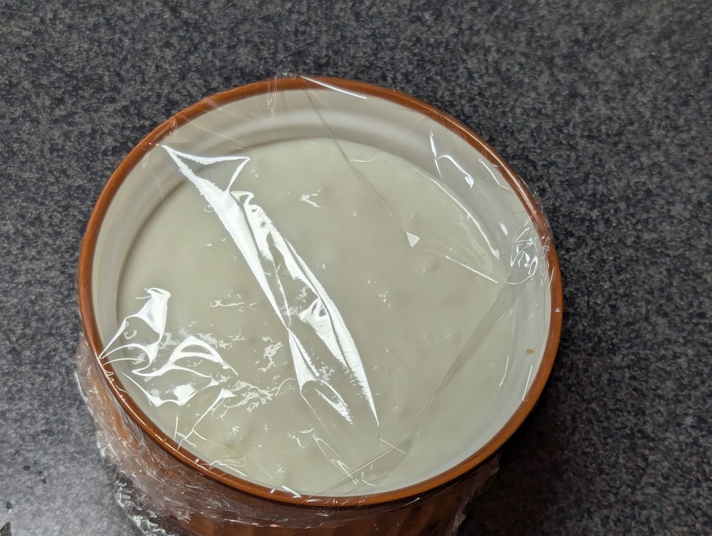ヨーグルト