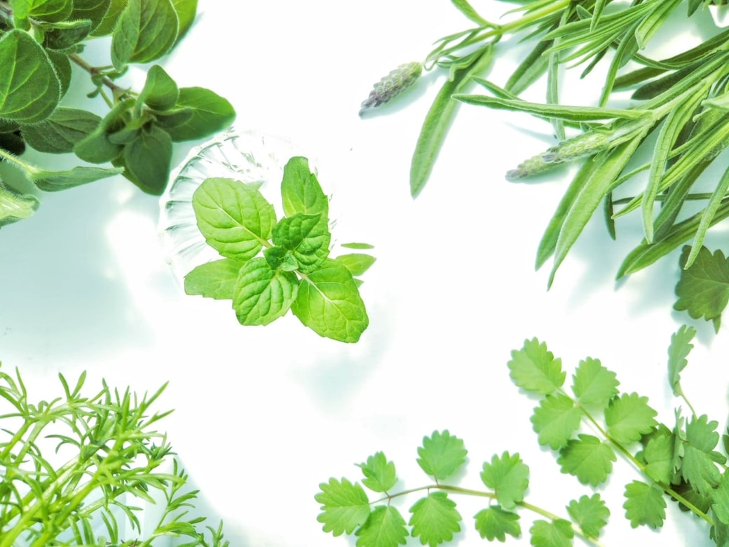 アロマテラピー