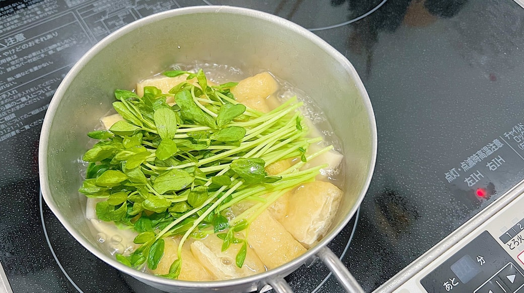 豆苗