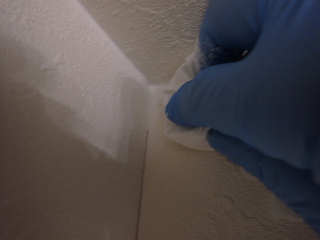 はみ出しを軽く拭く